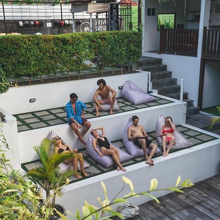 קנגו The Farm Hostel מראה חיצוני תמונה