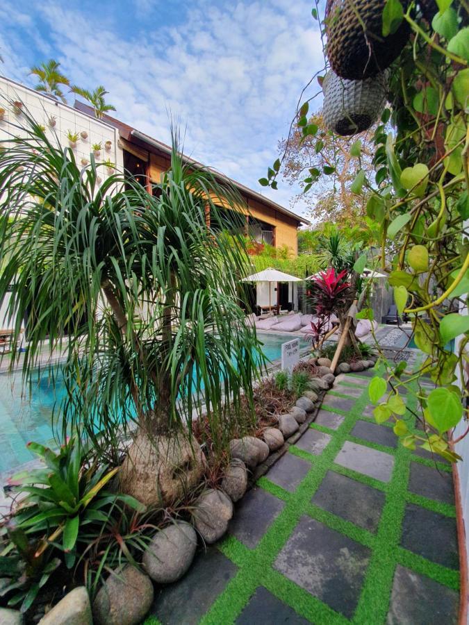 קנגו The Farm Hostel מראה חיצוני תמונה