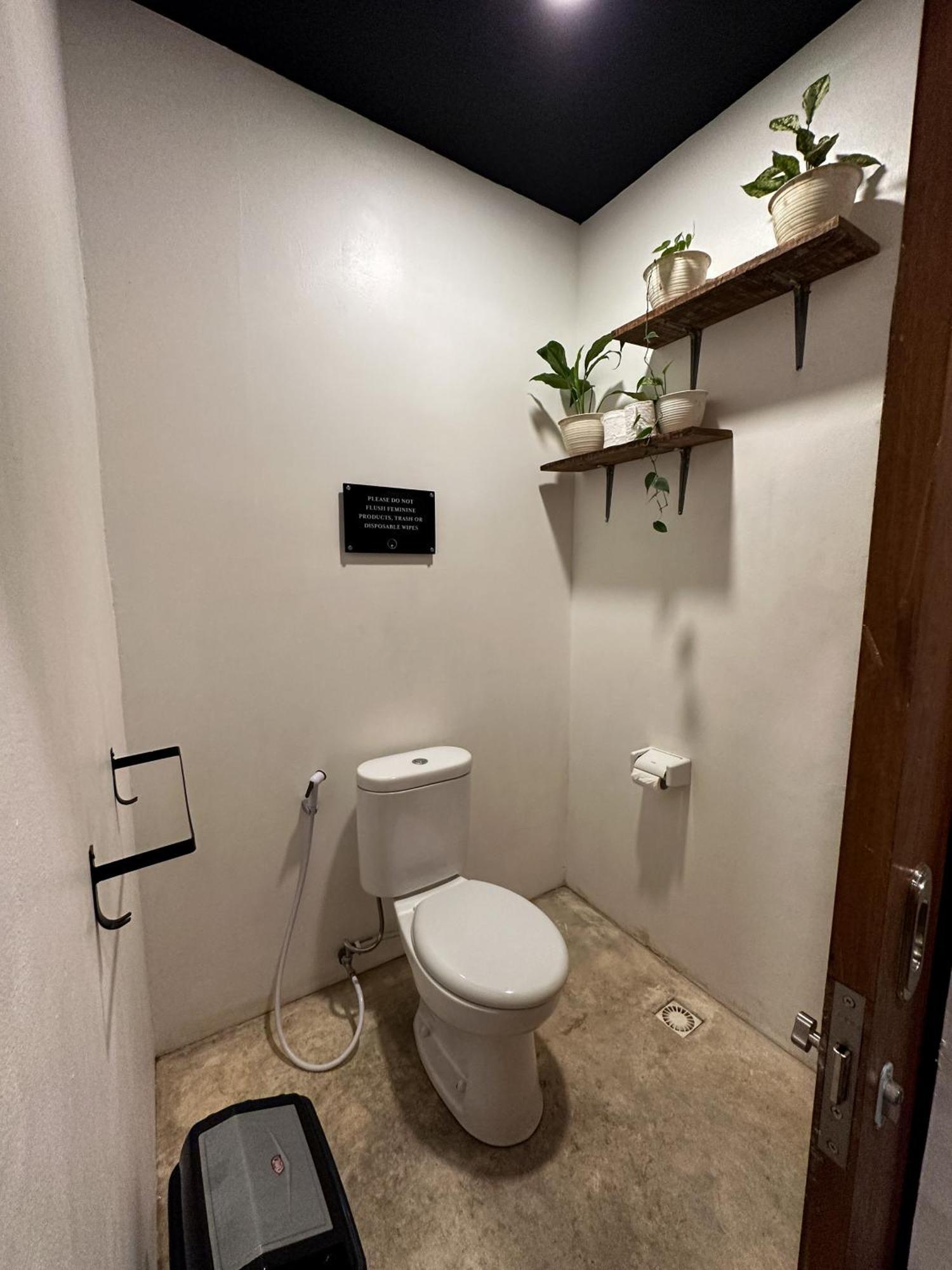 קנגו The Farm Hostel מראה חיצוני תמונה